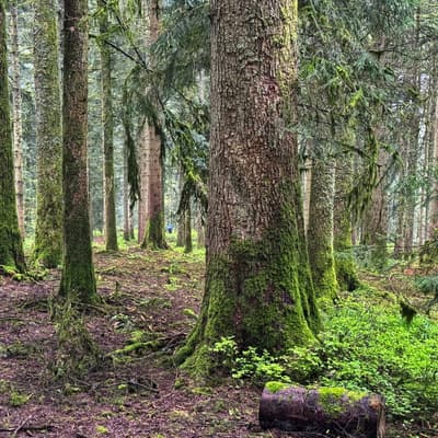 Osterwanderung 2025 – Bild 164