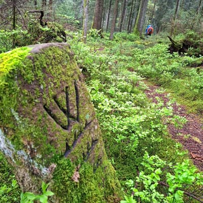 Osterwanderung 2025 – Bild 166