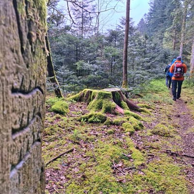 Osterwanderung 2025 – Bild 169