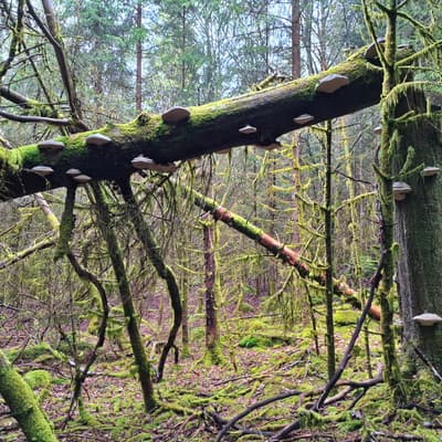 Osterwanderung 2025 – Bild 172