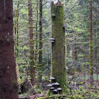 Osterwanderung 2025 – Bild 173