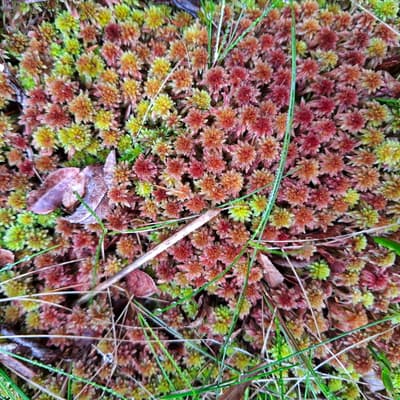 Osterwanderung 2025 – Bild 174