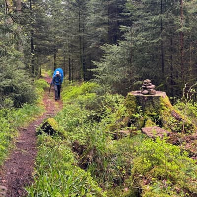 Osterwanderung 2025 – Bild 175