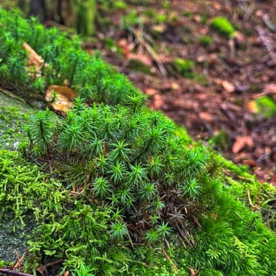 Osterwanderung 2025 – Bild 176