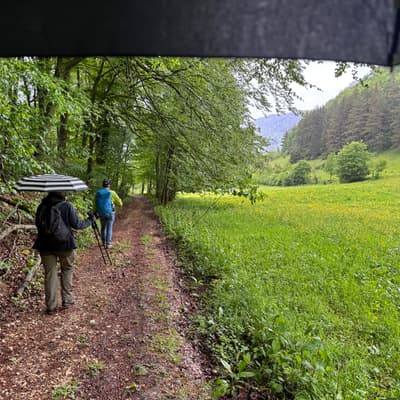 Schwäbische Alb 2026 – Bild 5