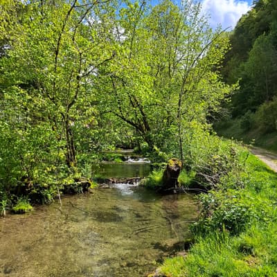 Schwäbische Alb 2026 – Bild 19