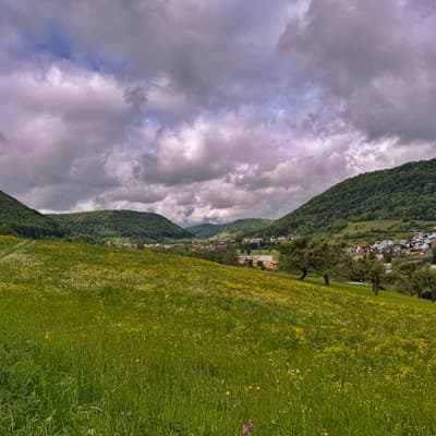 Schwäbische Alb 2026 – Bild 30