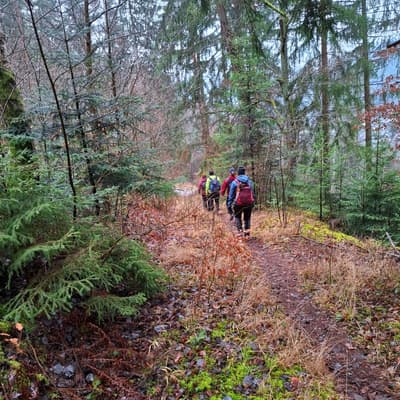 Wandern rund um Calw 2026 – Bild 2