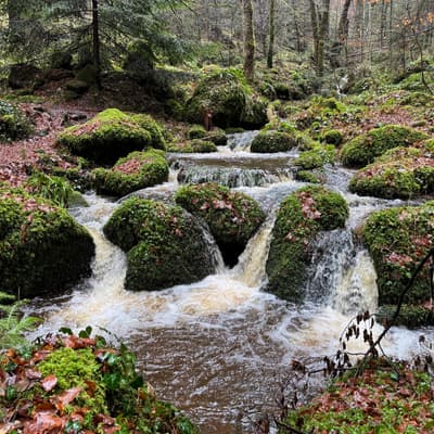 Wandern rund um Calw 2026 – Bild 11