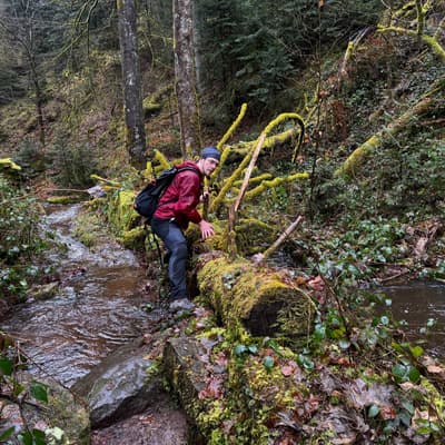 Wandern rund um Calw 2026 – Bild 13