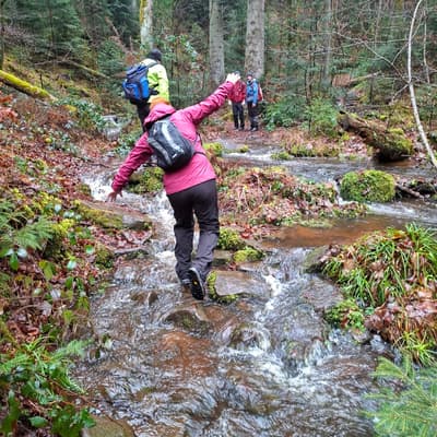 Wandern rund um Calw 2026 – Bild 14
