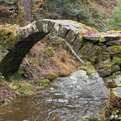 Wandern rund um Calw 2026 – Bild 15
