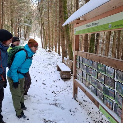 Welzheimer Wald 2026 – Bild 2