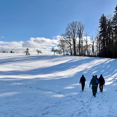 Welzheimer Wald 2026 – Bild 8