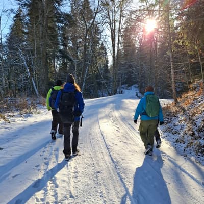 Welzheimer Wald 2026 – Bild 9