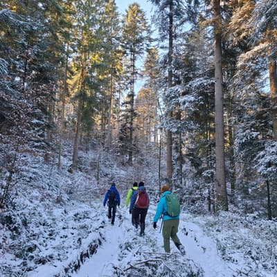 Welzheimer Wald 2026 – Bild 12